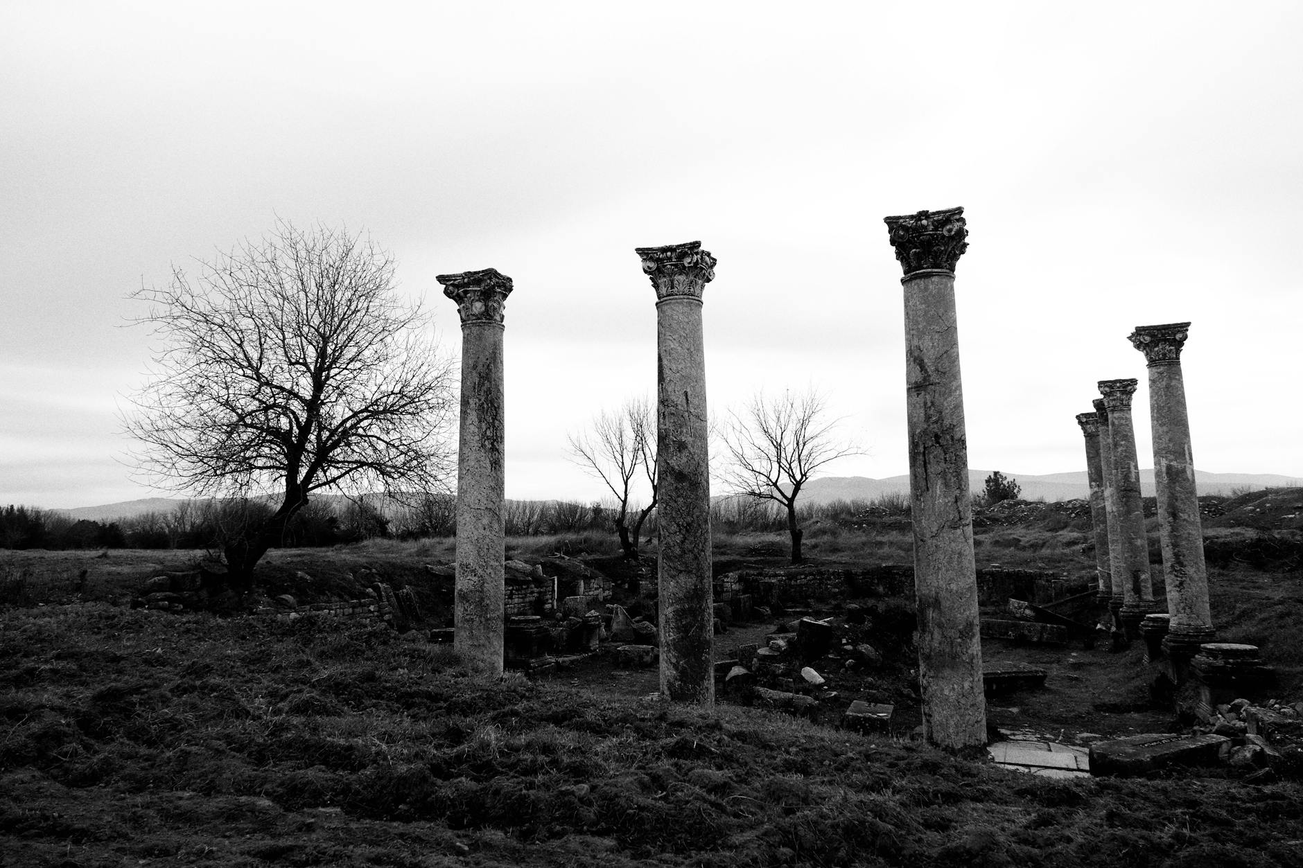 Kurumsal Site Tasarımı