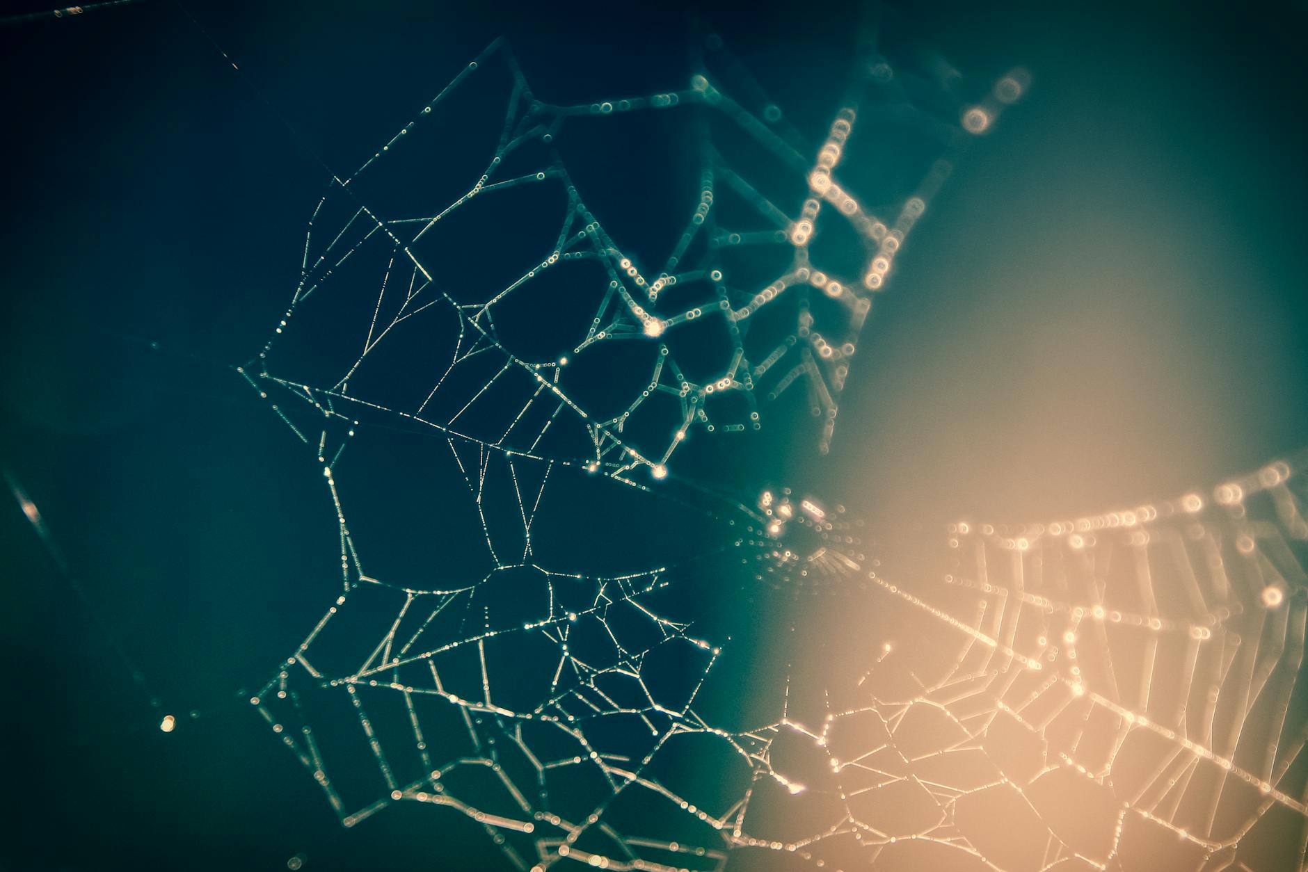 Minimalist Web Tasarım